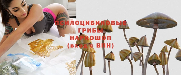 молекула духа Магадан