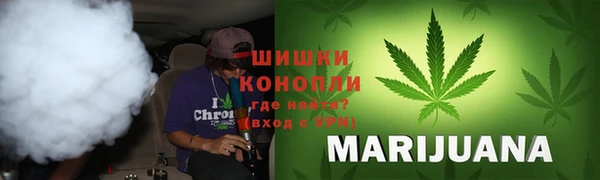 молекула духа Магадан