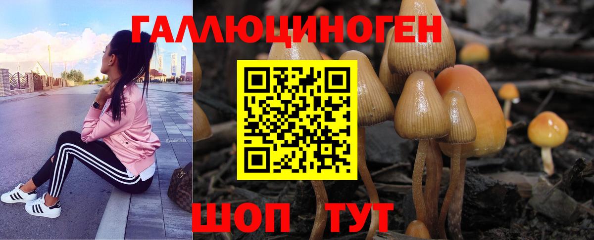 Псилоцибиновые грибы Cubensis  Вход с VPN  Липецк 